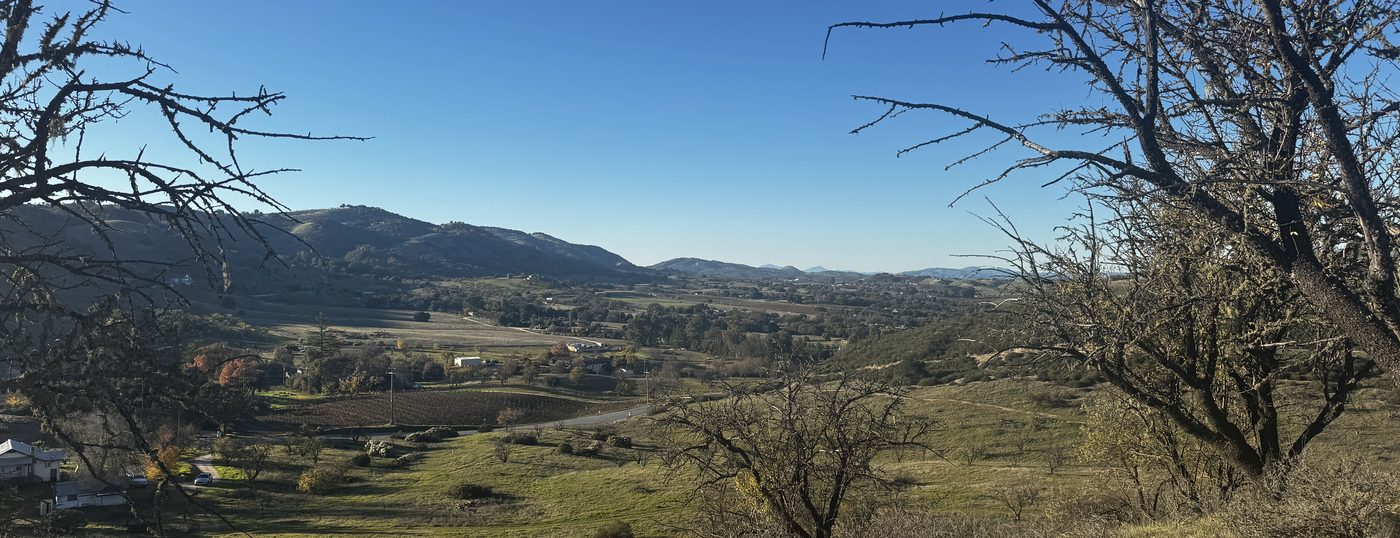 Winter view across a rural valley of scattered homes, pasture and a small vineyard, framed by bare oak branches, in the Adelaida District on the westside of Paso Robles, California