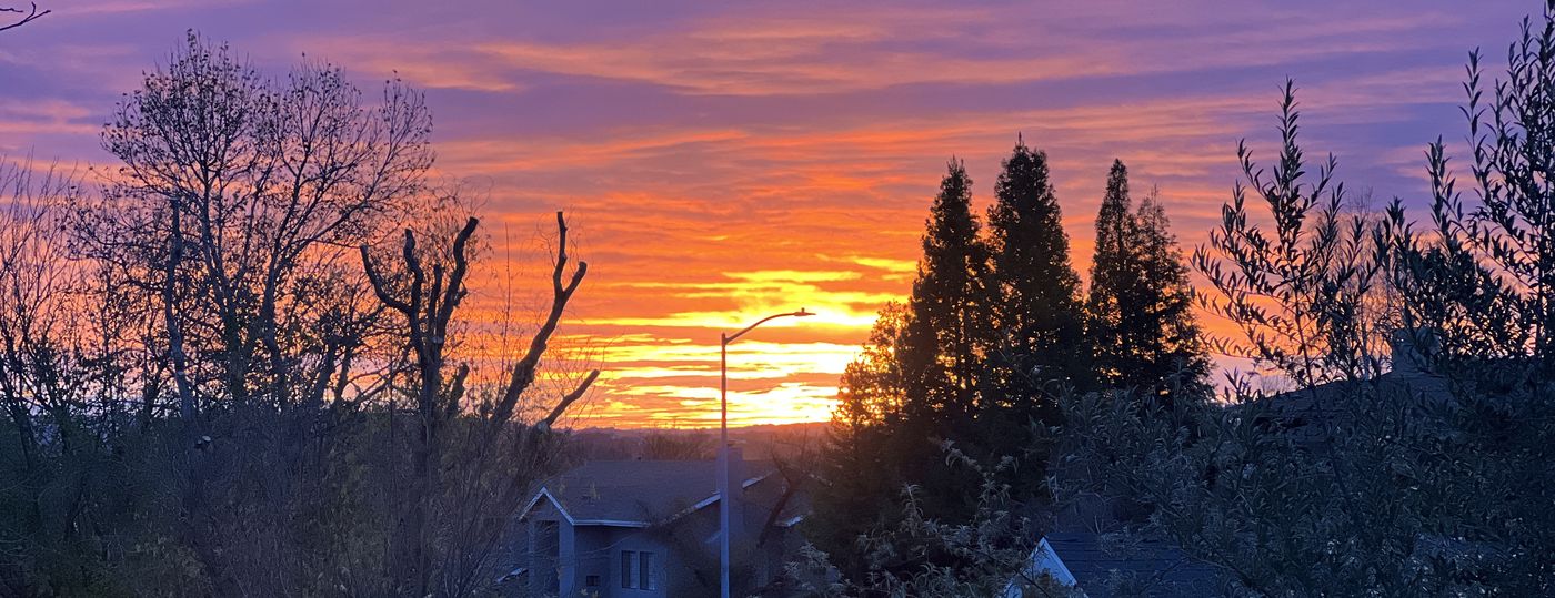 Sunset over a residential street, with rooflines, a street lamp and bare trees silhouetted against an orange and violet sky
