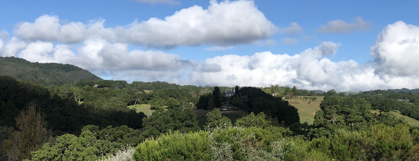 Oak woodland, open pasture and a house set among trees on a rise, off Vineyard Drive in rural westside Paso Robles, California