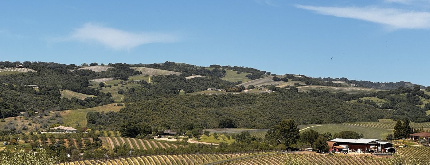 Vineyard rows on rolling ground below oak-covered hills, with a winery building at the edge of the planted acreage, in the Willow Creek District on the westside of Paso Robles, California